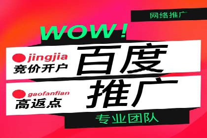 百度推广竞价下的市场洞察：一则金融行业的成功案例